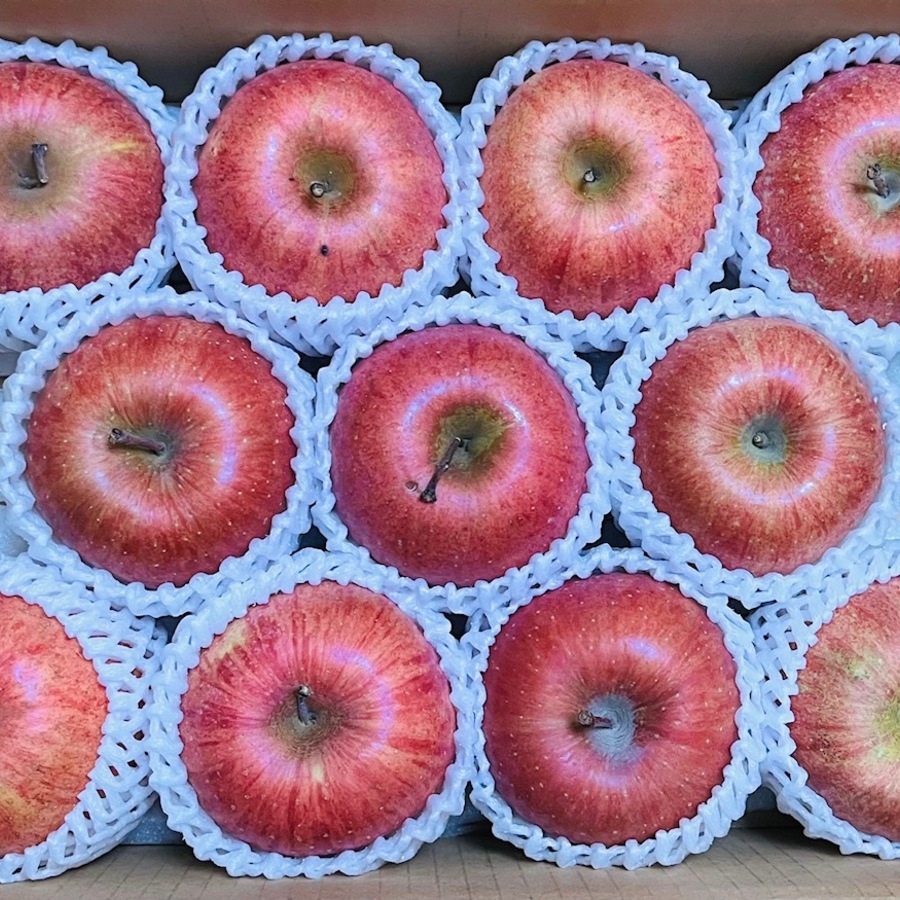 900x900 apple